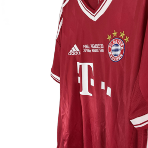 bayer 2013 (1)
