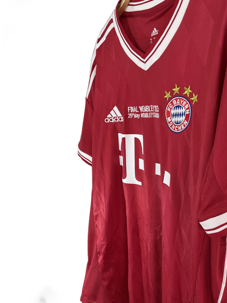 bayer 2013 (1)