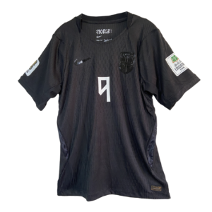 norue2026 v (4)