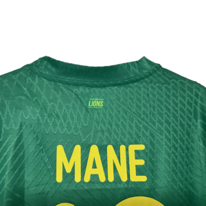 senegal 2026 (1)